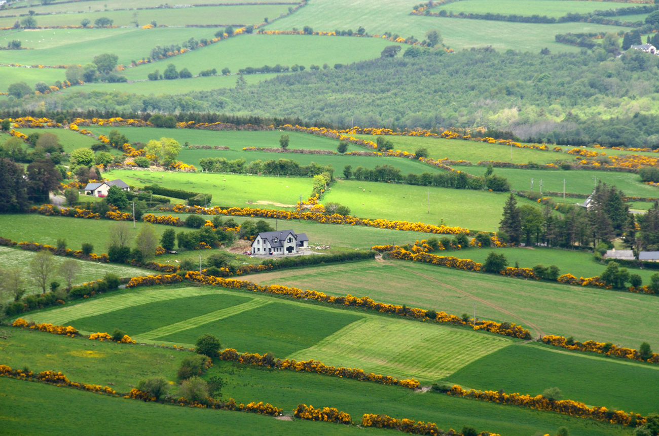 Houses amongst green fields
